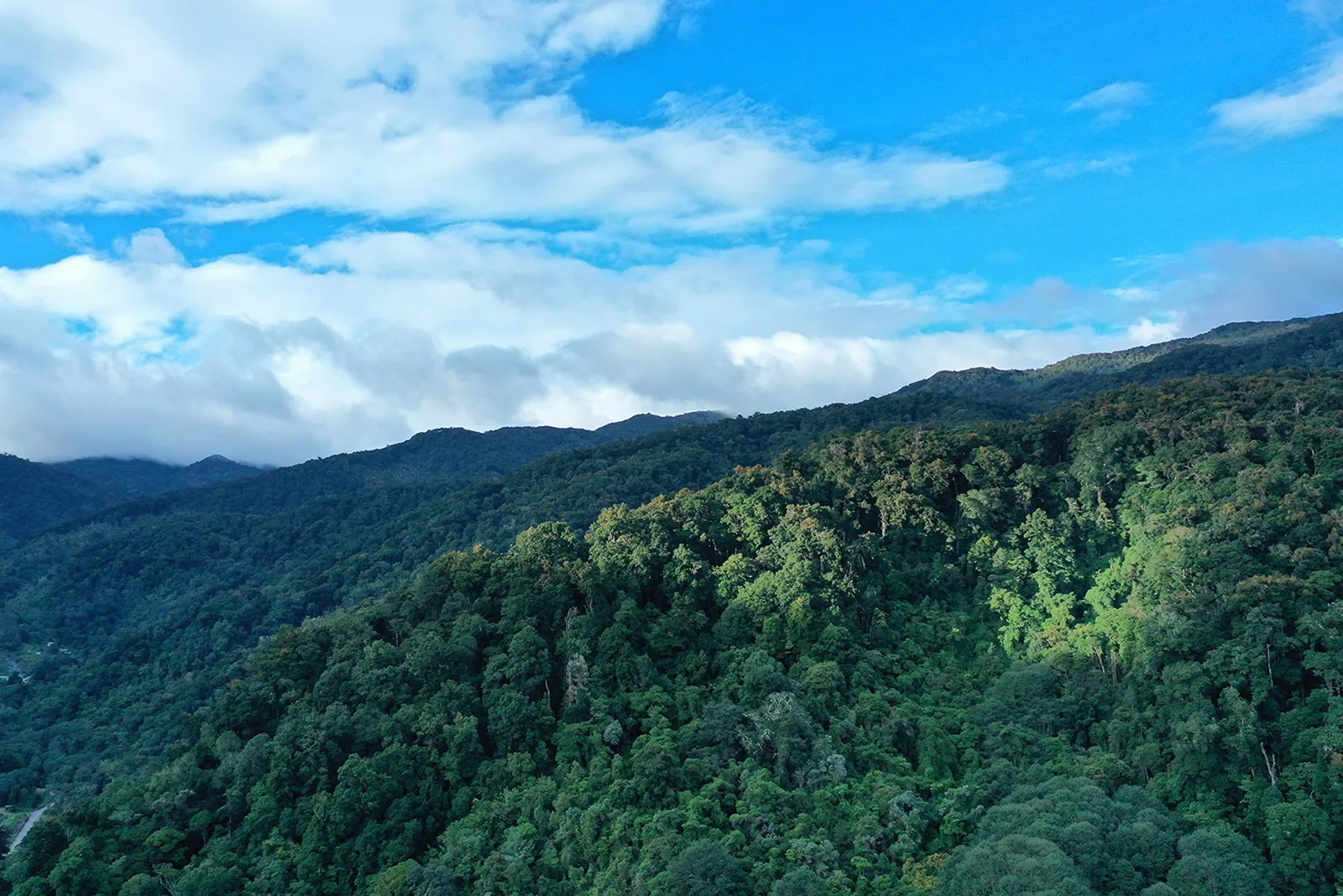 Vista de las montañas de San Gerardo de Dota