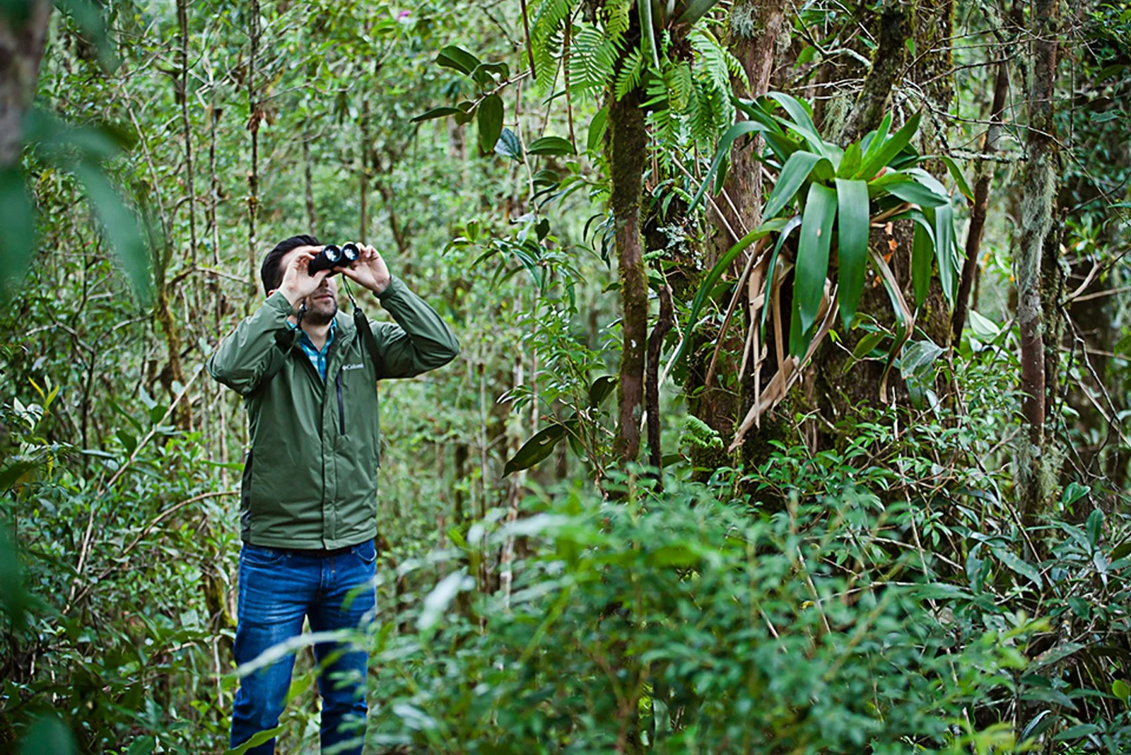Observación de aves con binoculares