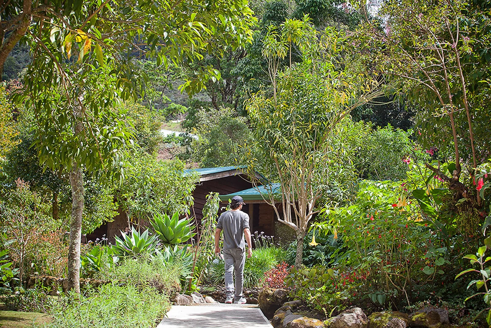 Senderos y jardines del hotel