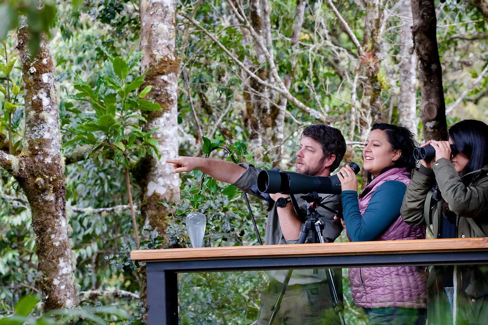 Observadores de aves en la reserva