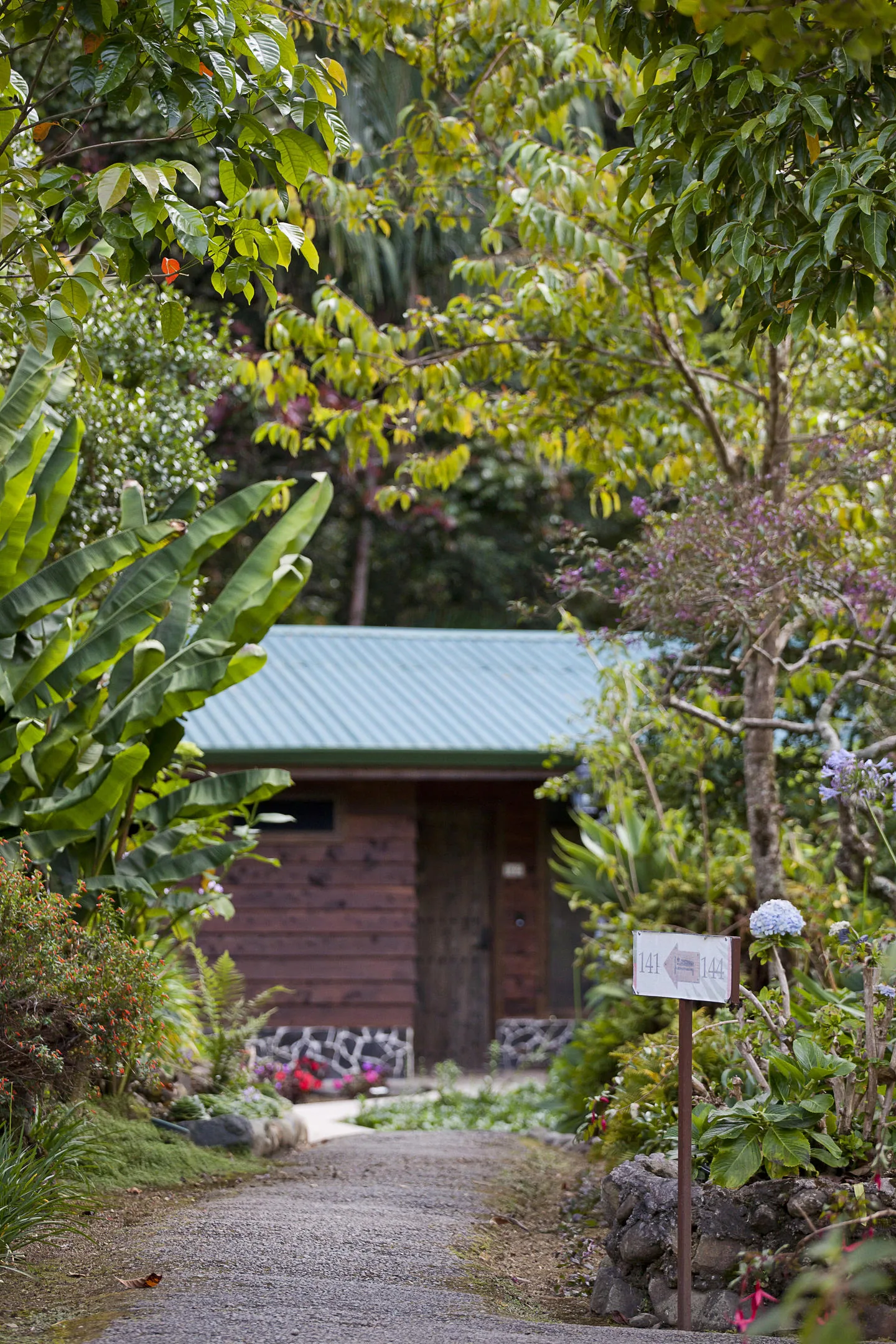 A wooden cabin with a green roof at the end of a gravel path, framed by banana leaves, beside a sign pointing to rooms 141 and 144.