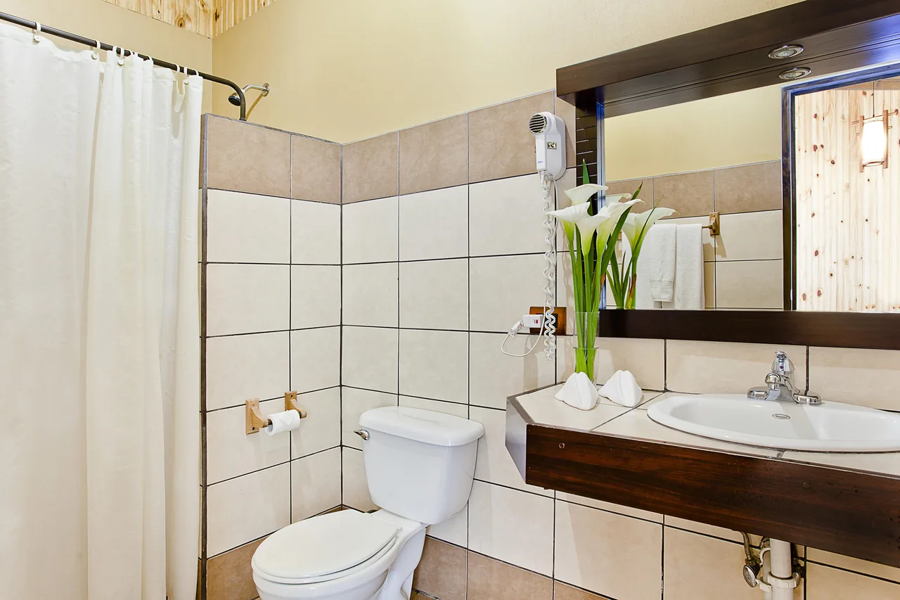The Standard room's bathroom, tiled in white, with a basin on a wooden counter and a framed mirror