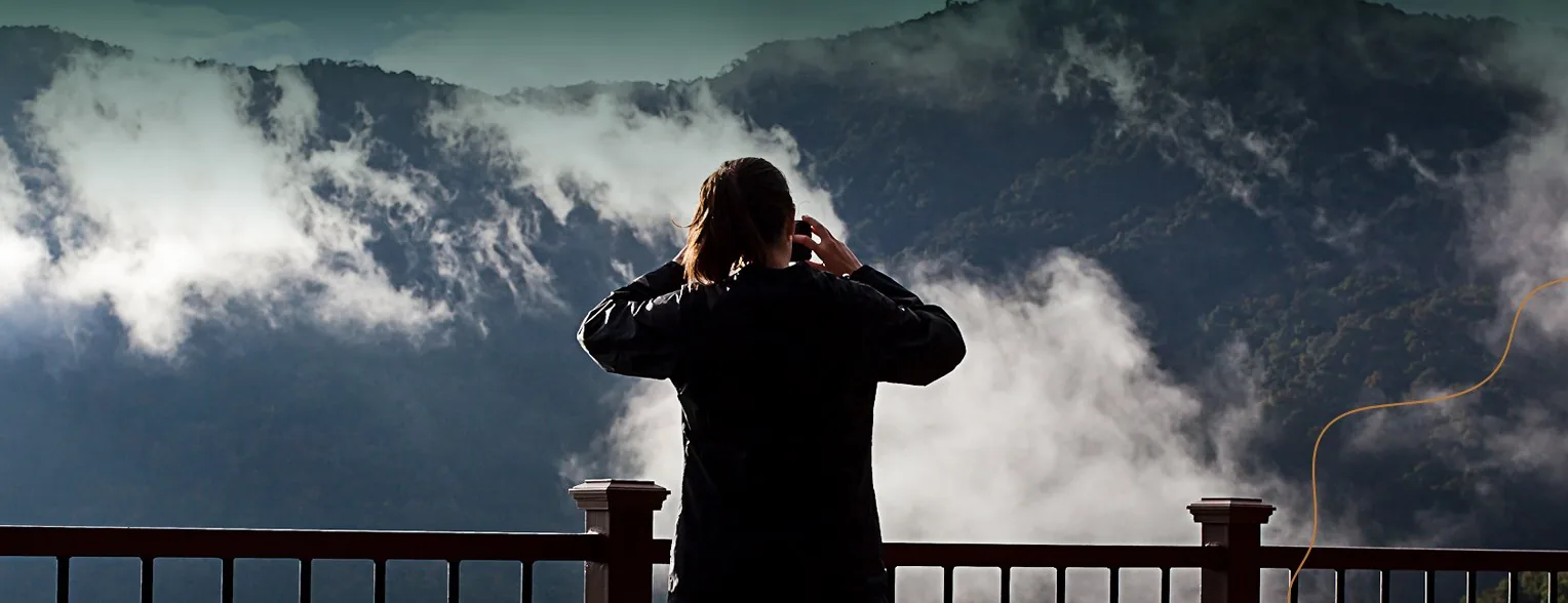 A visitor photographs the forest from a railing