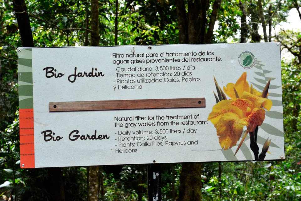 Bilingual Bio Garden sign: a natural filter for treating greywater from the restaurant, planted with calla lilies, papyrus and heliconias