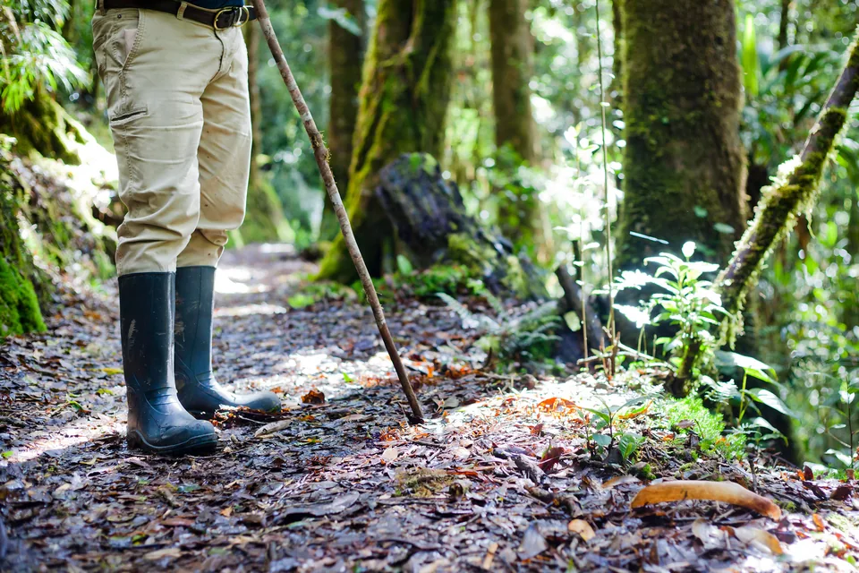 A guide in rubber boots holding a wooden walking stick, standing on a leaf-covered forest trail