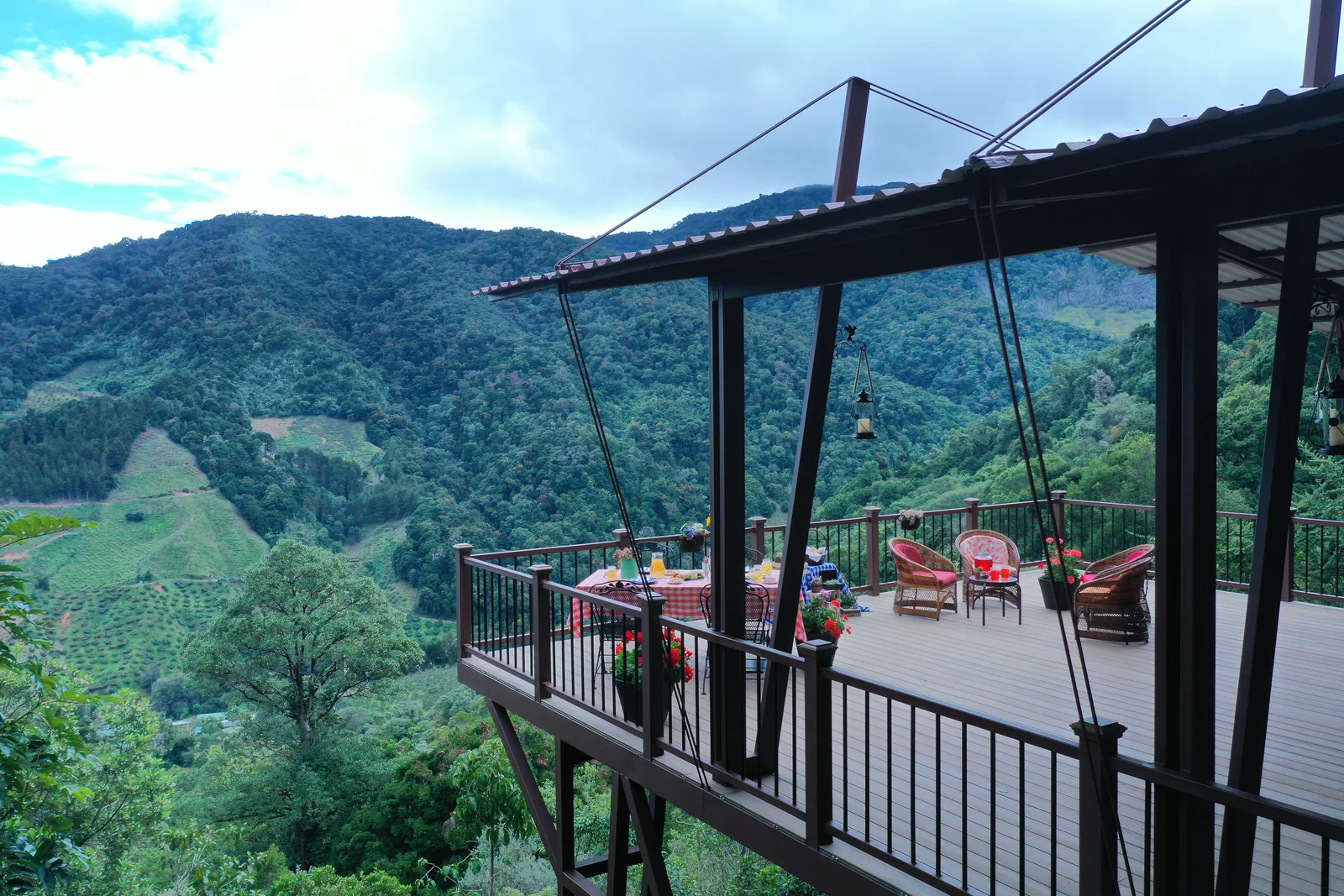 The Siwö lookout from above: a wooden deck with loungers, cantilevered over the cloud forest valley