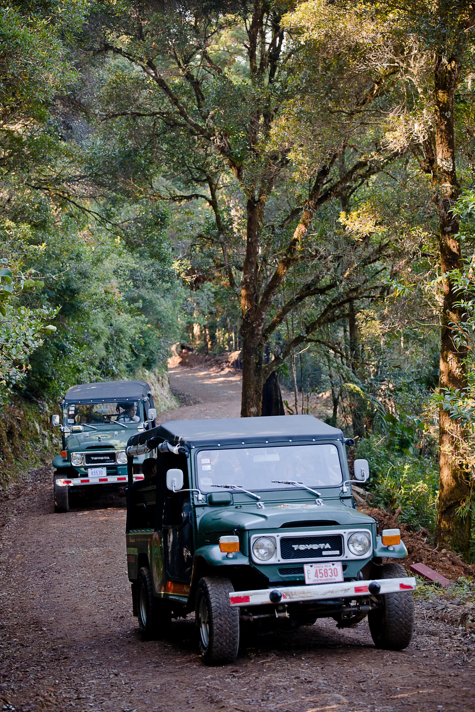 Two Toyota Land Cruiser safari vehicles driving along a dirt road through the forest