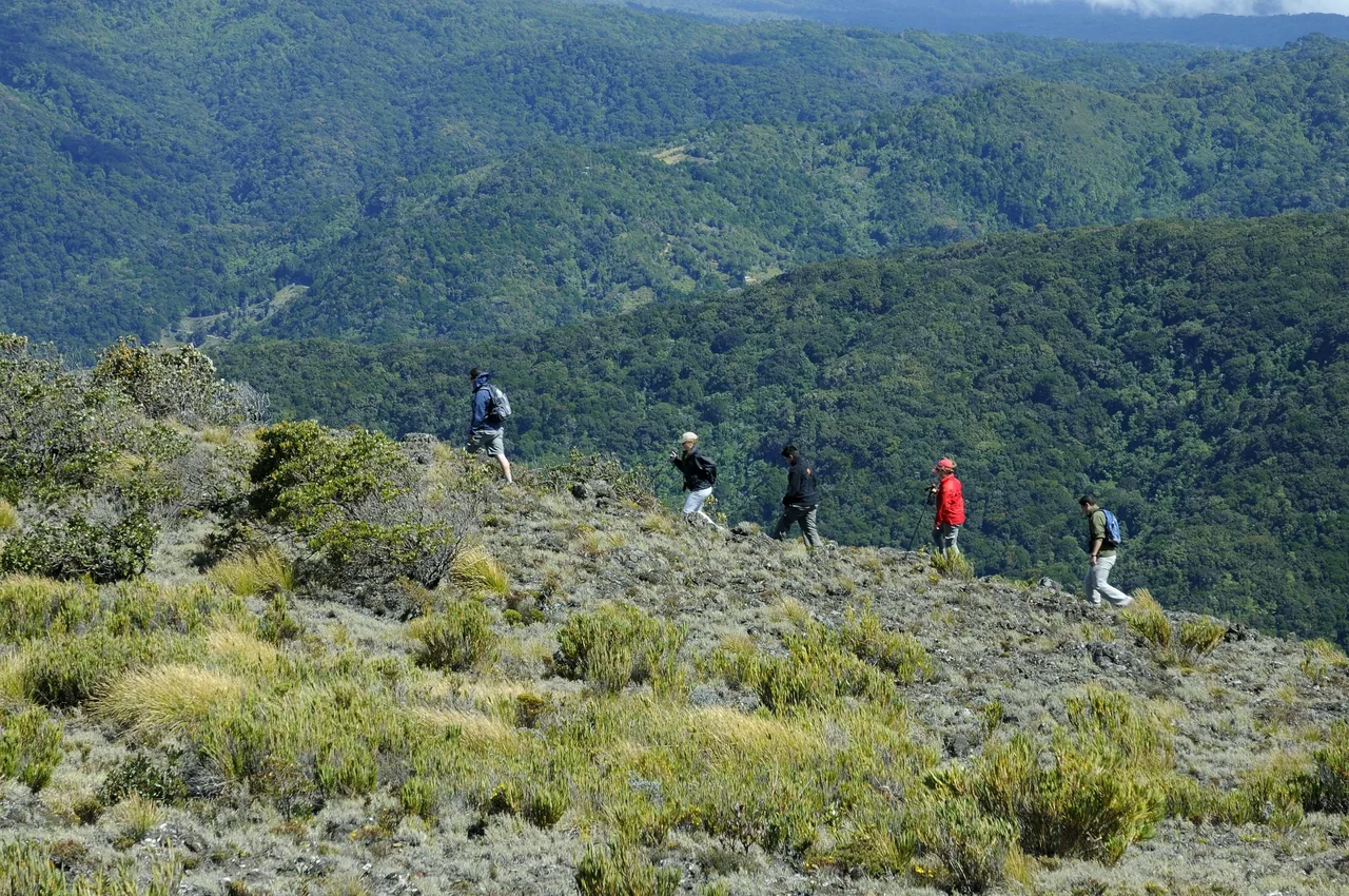 Five hikers spread along a ridge among low scrub, the forested valley behind them